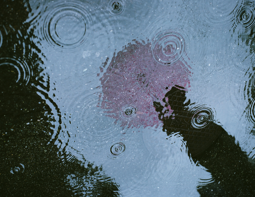 La vita non va rincorsa.