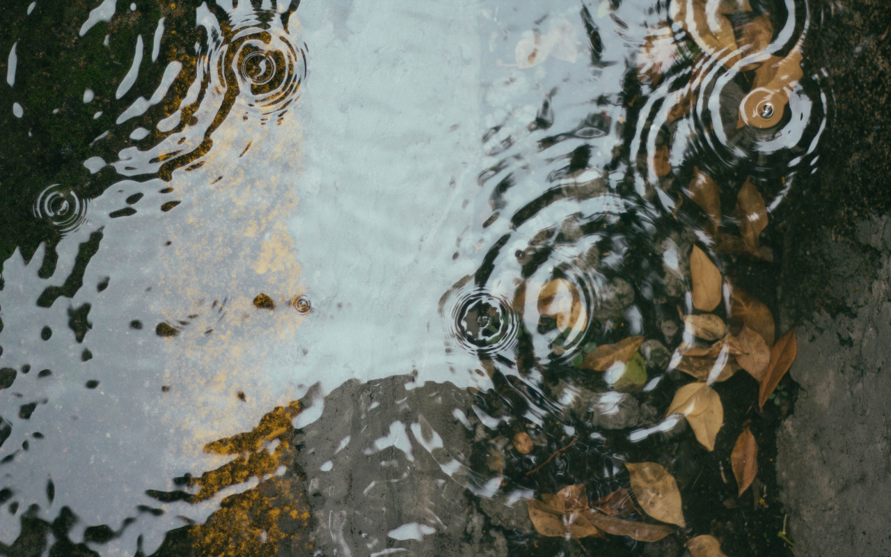 Le Voci della Pioggia.