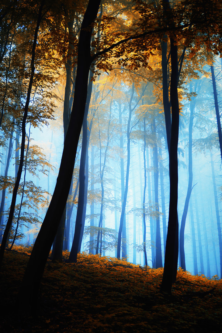 Onice, Cenere, Oro cap.4 – Axel.