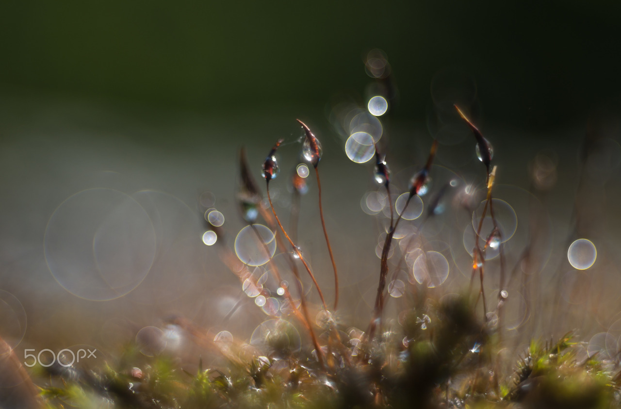 Tra colori e destini.