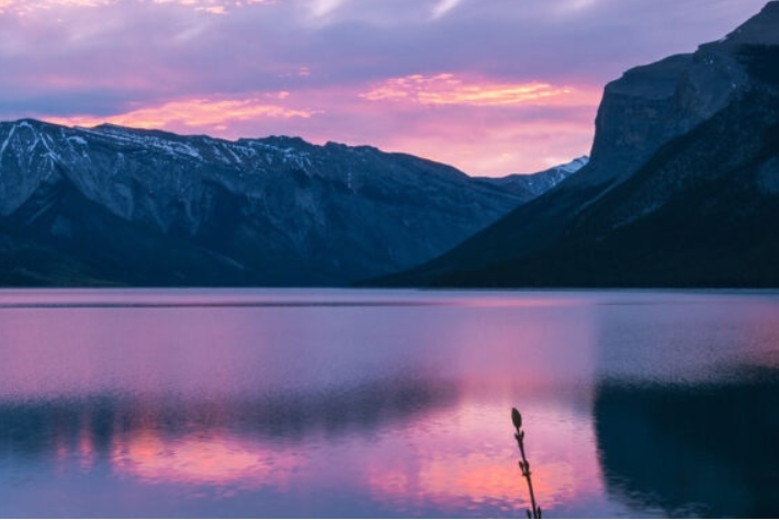 Guerra per Adulti: Ancora una volta i Bambini Scappano.