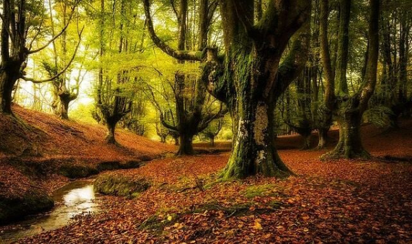 Porz Gonet di Yann Tiersen.