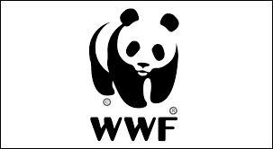 Il PANDA: un simbolo fallace dell’estinzione?