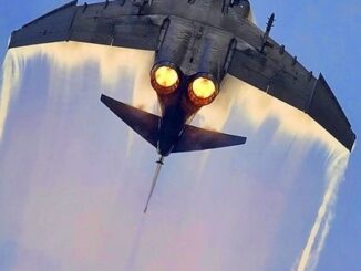 Non è stata fortuna: è stata volontà.