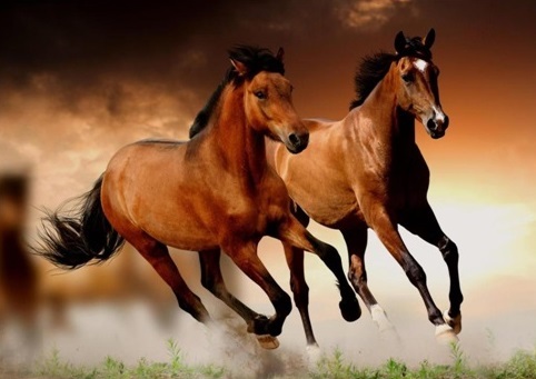 Run, Ludovico Einaudi (2.01-4.03).