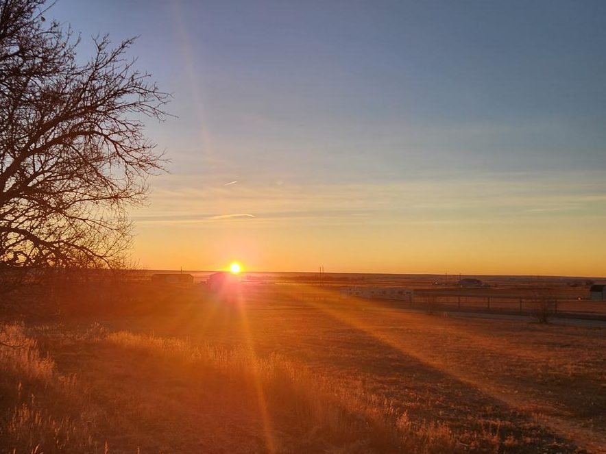 La “Dolce Morte” anche per i più piccoli?