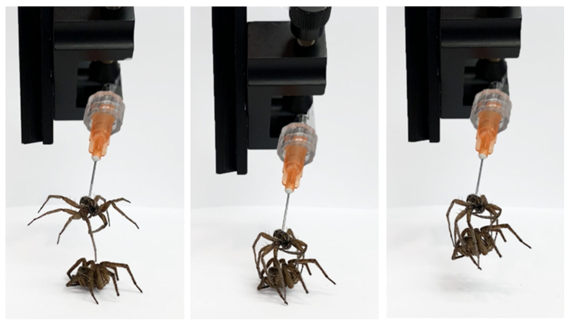 Usare dei cadaveri come robot