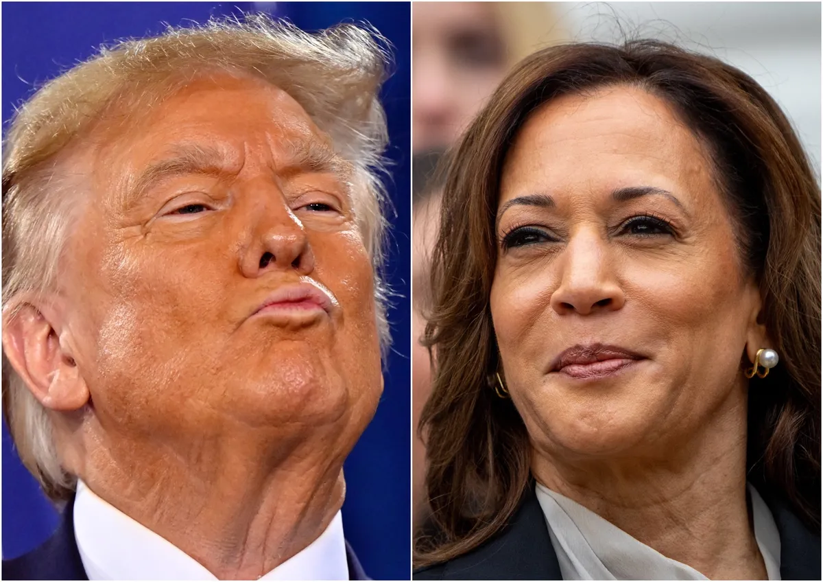 DONALD TRUMP VS KAMALA HARRIS: a Review of the Presidential Race.