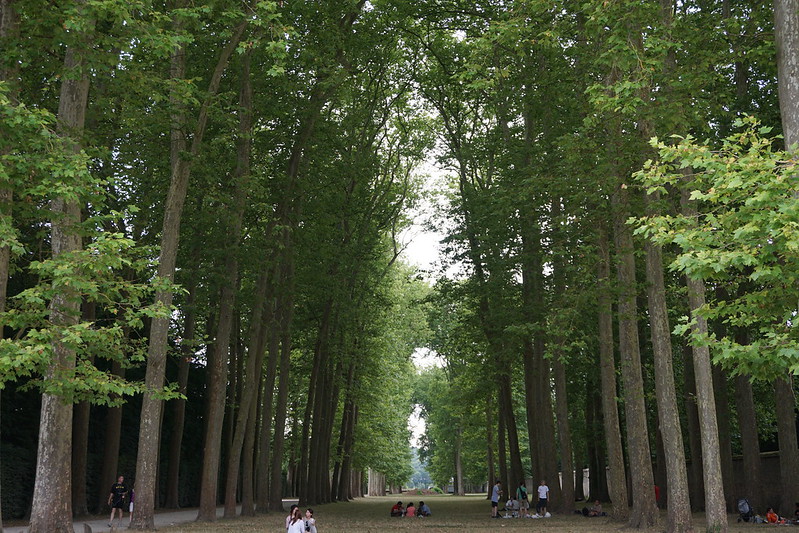 Milano tenta la svolta verde.
