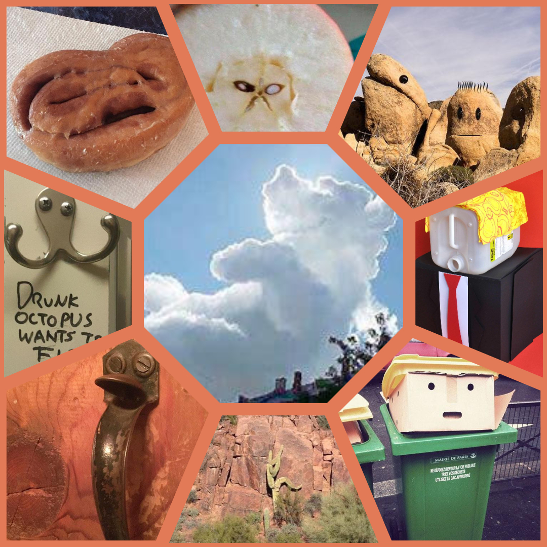 Pareidolia: le forme nascoste.