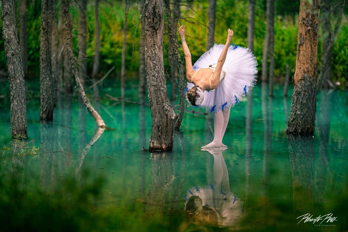 La Danza Riordinatrice.