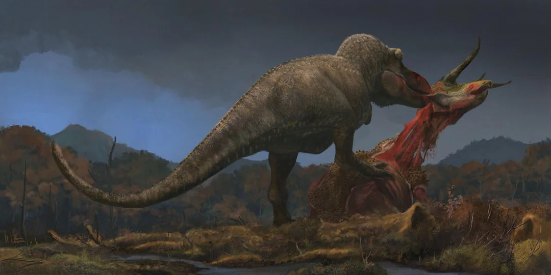 Dinosauri.