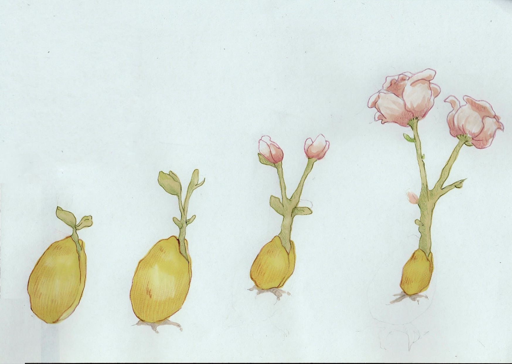 Speranza fra i giovani: un fiore raro.