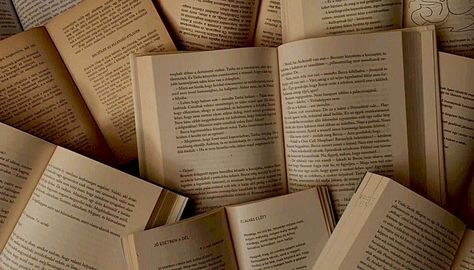 Perché è bello leggere?